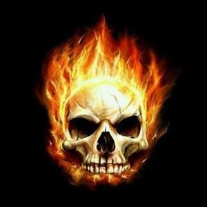 Meet your Posher, Bob